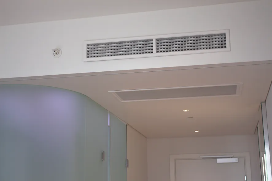 paragon detail