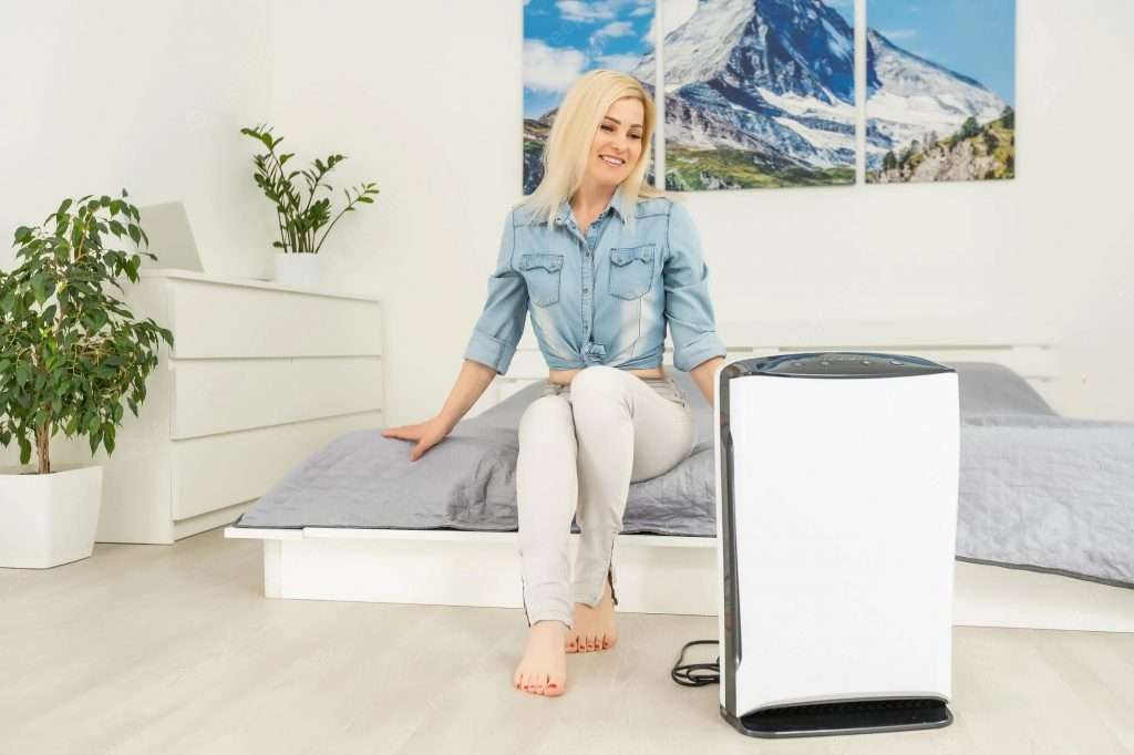 air purifier room woman working with laptop with filter clean room 493343 17625